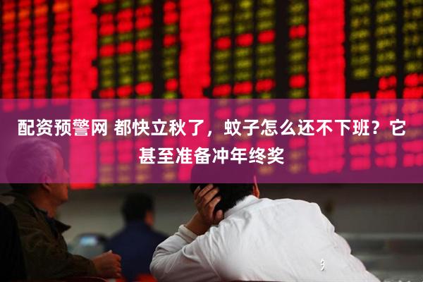 配资预警网 都快立秋了，蚊子怎么还不下班？它甚至准备冲年终奖
